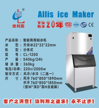 方块冰/分体式/450-540kg