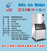 方块冰/分体式/450-540kg