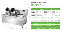 G30DFA