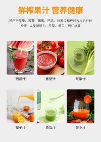 电动榨果汁机