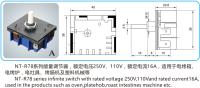 NT-R78 能量调节器